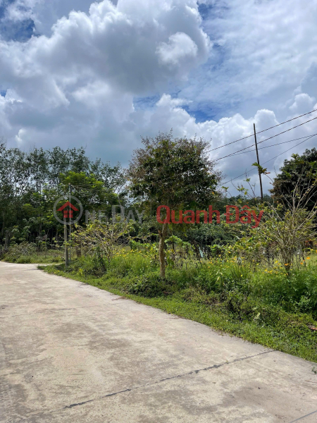 đ 350 triệu, Minh Thành Chơn Thành Bình Phước