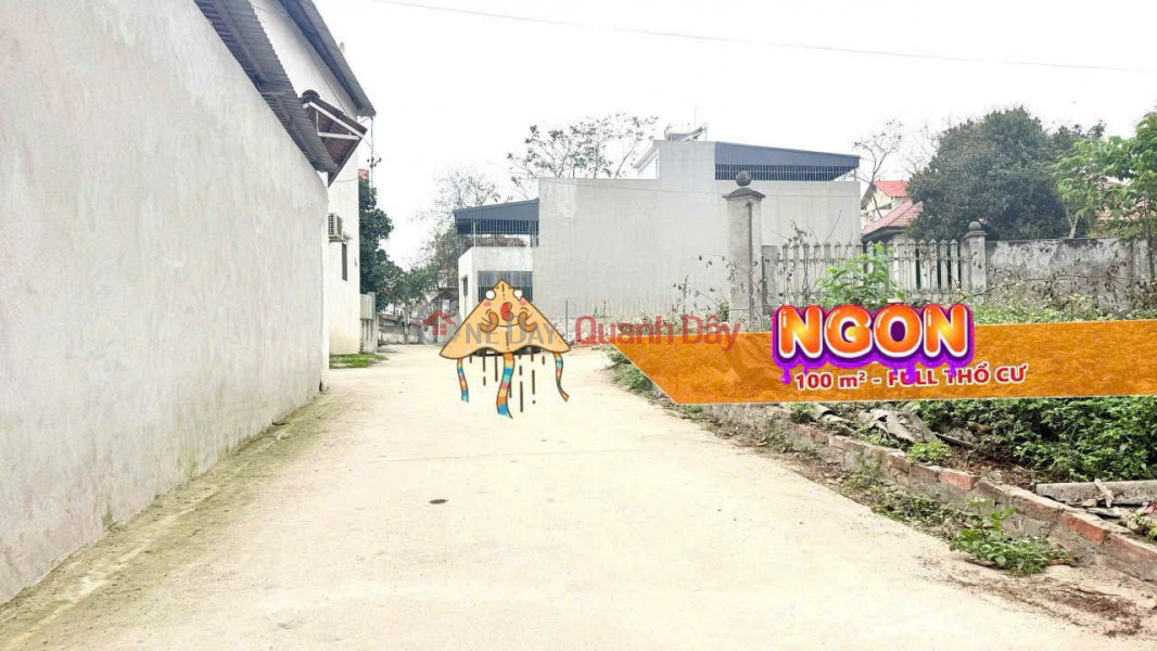 Property Search Vietnam | OneDay | Nhà ở Niêm yết bán Chính chủ bán lô góc Tam Dương, Vĩnh Phúc 111m2 - Băng 2 ĐT306, Băng 2 ĐT309, đầu tư sinh lời hấp dẫn