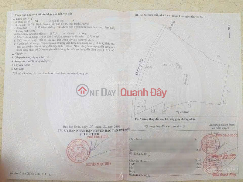 Super Street Front Land Plot - Investment is profitable - Tan Dinh Commune, Bac Tan Uyen, Binh Duong Sales Listings