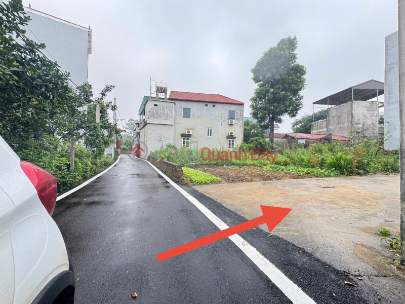 Bán đất Phú Hữu, Thanh Lâm, Mê Linh. Đường trải nhựa, oto đỗ. Gần chợ hoa quả Mê Linh Niêm yết bán