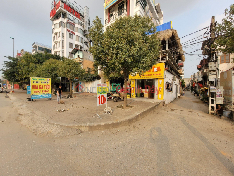 đ 28 Billion, Selling land for business on Nhat Tan Dong Anh street 108m corner lot