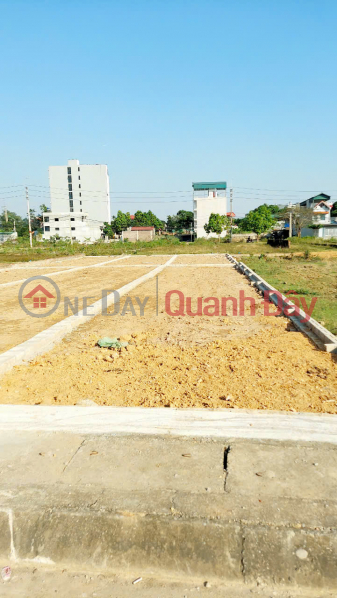 Property Search Vietnam | OneDay | , Sales Listings | Urgent sale of 113.3m2 land plot, 200m from Hoa Lac Thach That market