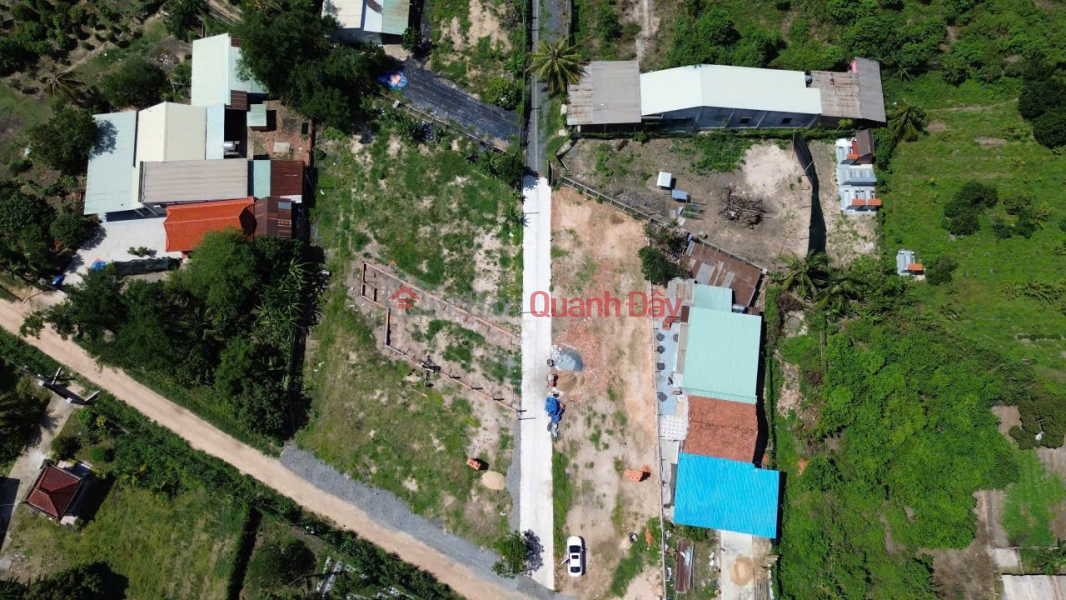 đ 700 Million BEAUTIFUL LAND - PROFITABLE INVESTMENT - Need to Sell Quickly 13 Plots of Land in Gia Tan, Gia Loc, Trang Bang, Tay Ninh