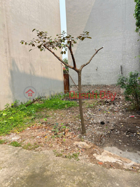 Bán đất tổ 7, Quang Minh, Mê Linh. Gần đường Võ Văn Kiệt và khu công nghiệp Niêm yết bán