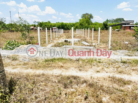 BEAUTIFUL LAND - GOOD PRICE - Owner Needs to Sell Land Plot Quickly in Hoa Thanh Commune, Chau Thanh, Tay Ninh _0