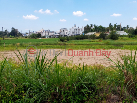 L2282 LAND PLOT IN THANH XUAN 31 - SHOCKING PRICE 4.X BILLION VND! _0