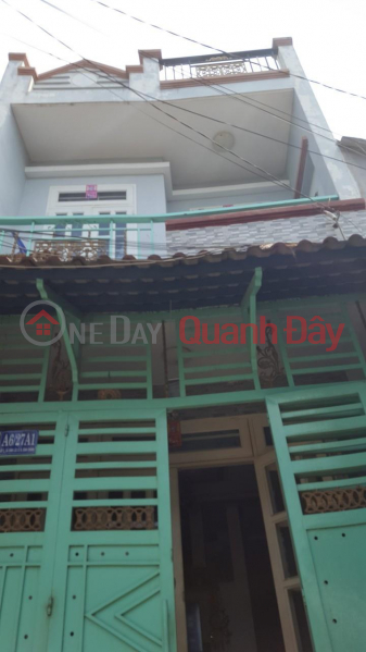 BEAUTIFUL HOUSE - GOOD PRICE - Owner For Sale House In Binh Chanh District - HCM Sales Listings