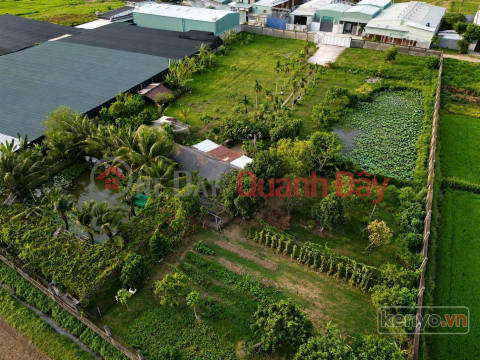 LARGE PLOT OF LAND WITH FRONTAGE IN XUAN THOI SON – NEARLY 6400M² – 65M WIDE, WITH RESIDENTIAL LAND TITLE _0