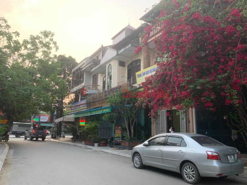 House for sale located on Viet Bac street - Mai Xuan Duong area - Dong Tho ward Sales Listings