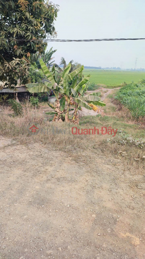 INVESTMENT IS PROFITABLE - Owner Needs to Sell Land Plot in Tan Hoa Commune, Tan Thanh District, Long An Province _0