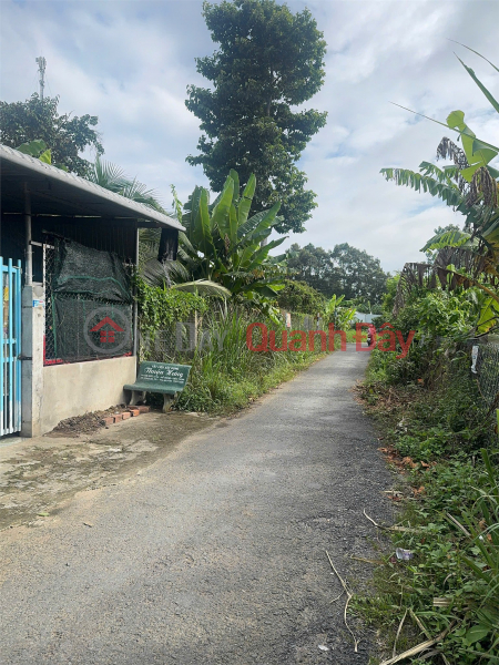 PRIME LAND - GREAT PRICE - Owner Selling Plot of Land on National Highway 54, Chau Thanh Commune, Vinh Long, Vietnam Sales đ 520 Million