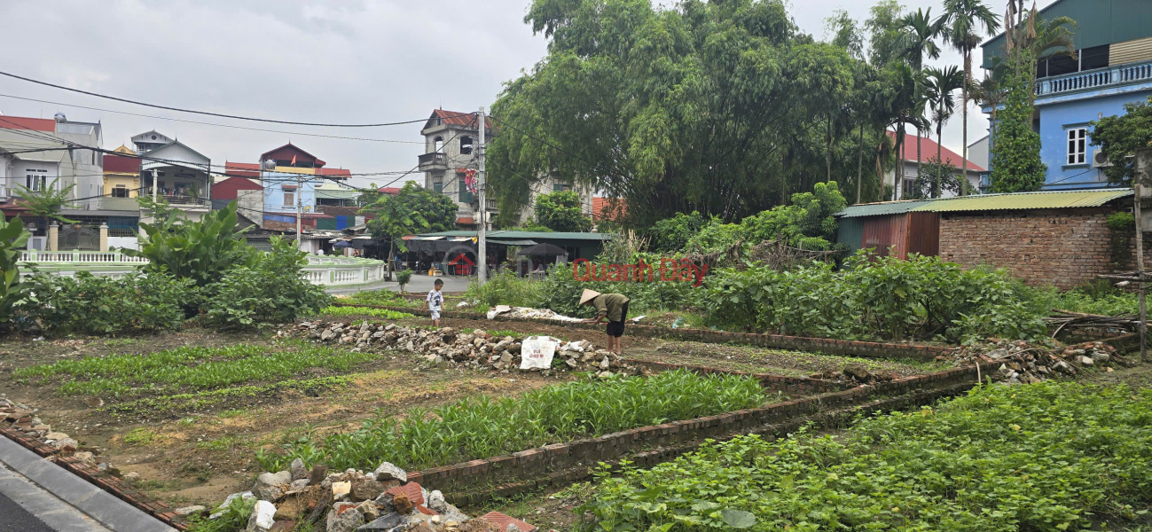 đ 7,95 tỷ | Bán đất mặt Hồ Gia Lộc - Gia Lương, xã Việt Hùng, Đông Anh - Nay là xã Thư Lâm, Thành phố Hà Nội, 91m2, miễn