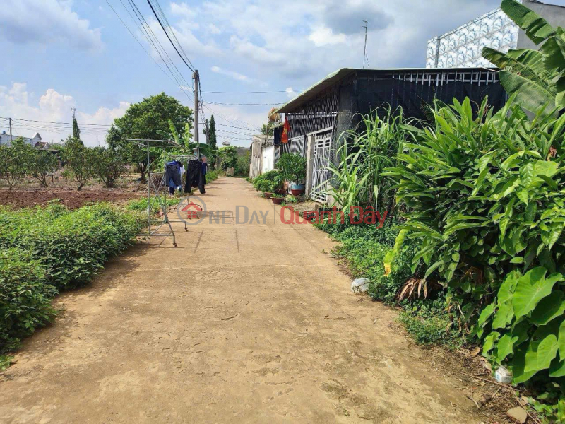 Property Search Vietnam | OneDay | Residential, Sales Listings Land for sale in Tay Hoa Trang Bom 5x20, residential land, separate title