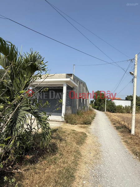Chính Chủ Bán đất Rạch Sậy, 10.99 Tỷ, 842.1m2, Bình Chánh, HCM , Có Nhà Cấp 4 Sạch đẹp Việt Nam, Bán, đ 10,99 tỷ