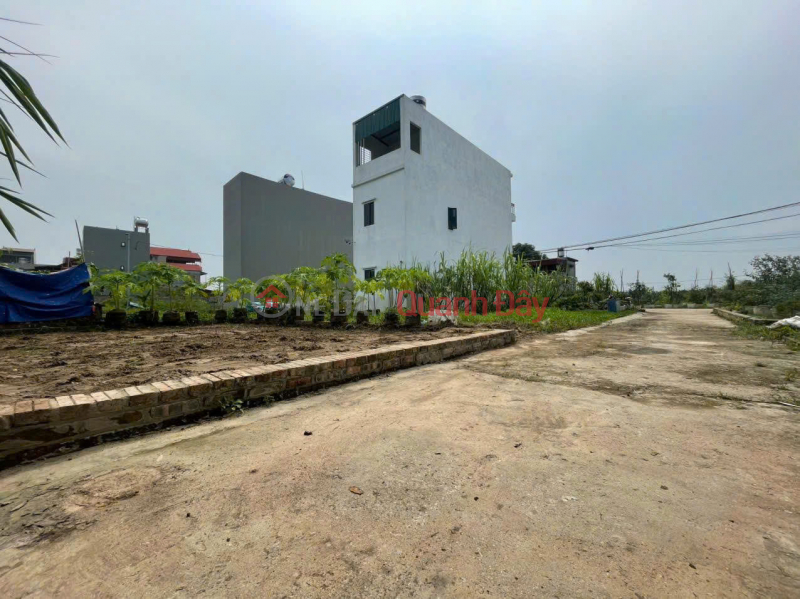 Bán 52m đất thôn Ấp Tre, tổ 9, Quang Minh. Mặt tiền rộng 6m, full thổ cư. Gần KCN Quang Minh, Việt Nam | Bán, đ 2,95 tỷ