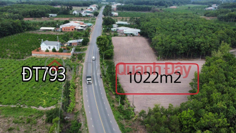 PRIMARY LAND - GOOD PRICE - Beautiful Location in Tra Vong commune, Tan Bien, Tay Ninh _0