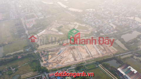 Announcement of Tay Dan Di Commune Uy No Dong Anh auction schedule: _0