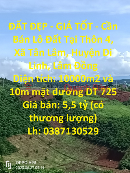 BEAUTIFUL LAND - GOOD PRICE - Land Lot For Sale In Hamlet 4, Tan Lam Commune, Di Linh District, Lam Dong Sales Listings