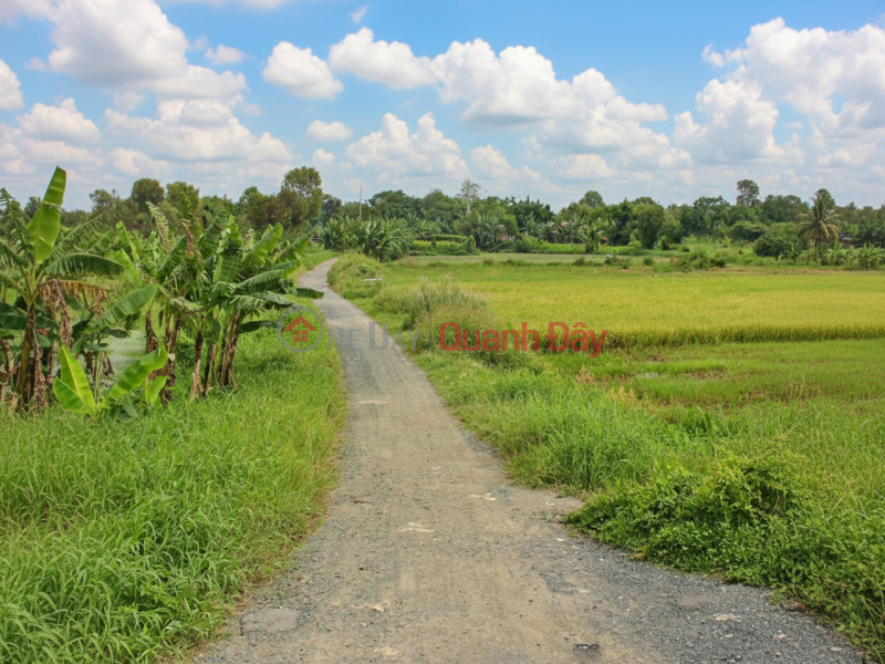 Property Search Vietnam | OneDay | Nhà ở, Niêm yết bán | D1751 ️ đất Thạnh Xuân 52 Hóc Môn, SHR, HXT, 26x46m, 5.x tỷ