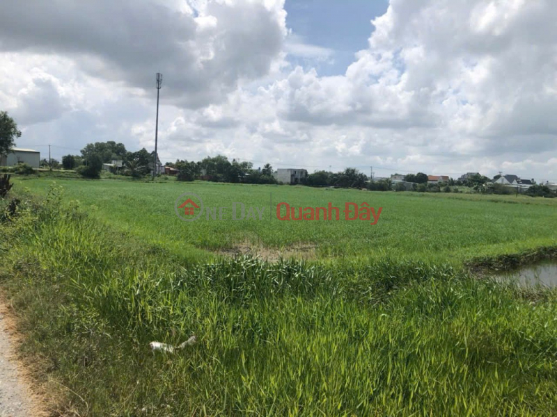 1 Ha Square Land SHR HXH – Duc Hoa Thuong Long An S | Vietnam | Sales | đ 49 Billion