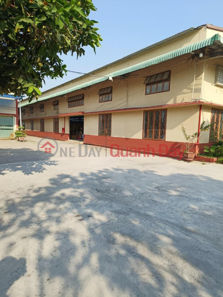 Garment factory for sale in Tan Thoi Nhat Ward, District 12, HCM (Giap Binh Tan) Vietnam Sales | đ 360 Billion