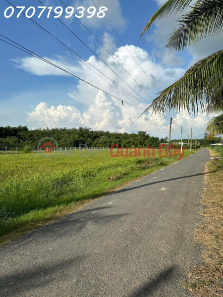 Owner needs to sell 4,000m2 of rice land in Tri Binh, Chau Thanh, Tay Ninh Sales Listings