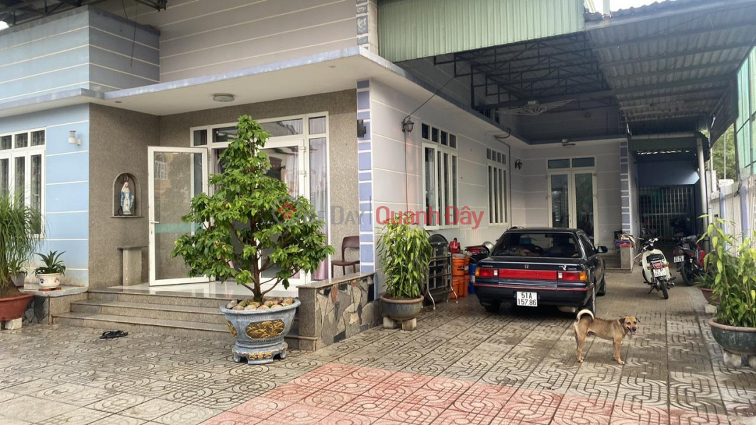 Property Search Vietnam | OneDay | Residential | Sales Listings, BEAUTIFUL LAND - GOOD PRICE - OWNER FOR SALE House Kim Dinh Ward, Ba Ria Vung Tau City.