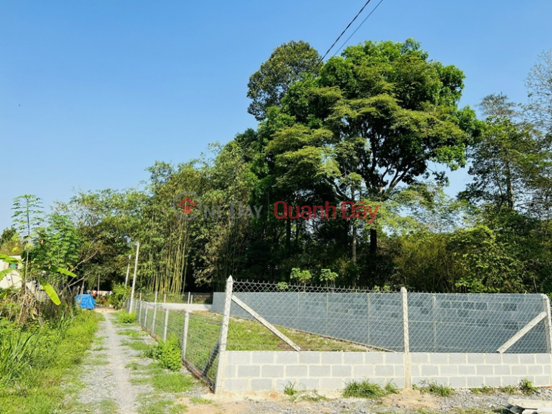 BEAUTIFUL LAND - GOOD PRICE - OWNERS Need to Urgently Sell Land Lot in Nice Location in Tan An Hoi, Cu Chi - HCM, Vietnam Sales ₫ 1.8 Billion