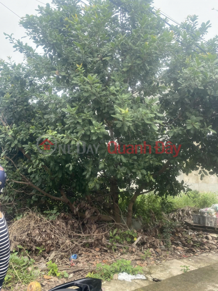 CC cần bán gấp đất biệt thự ở khu sân bay Quốc Tế Long Thành - Đồng Nai Việt Nam, Bán | đ 5,3 tỷ