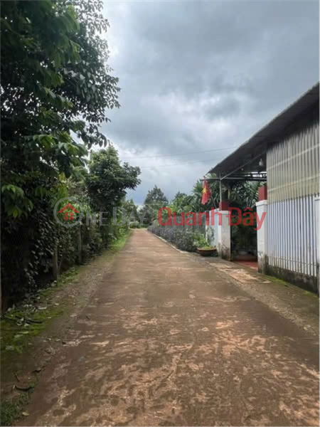 đ 3.55 Billion BEAUTIFUL LAND - INVESTMENT PRICE - OWNER NEEDS TO SELL LAND LOT IN Hoa Thang, Buon Ma Thuot, Dak Lak