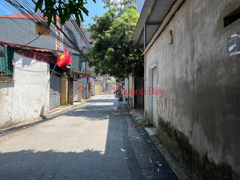 Property Search Vietnam | OneDay | Nhà ở Niêm yết bán, ĐẤT ĐÔNG DƯ( GIA LÂM)_ NGÕ Ô TÔ THÔNG_KHU VỰC PHAT TRIỂN_XÂY NHÀ CỰC ĐẸP _ KHU VỰC TRUNG TÂM_ 38 M2