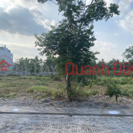 BEAUTIFUL LAND - GOOD PRICE - OWNER 2 adjacent plots for sale in Cuu Long Urban area _0