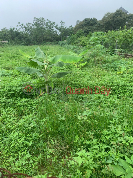 đ 4.8 Billion | BEAUTIFUL LAND - GOOD PRICE - Need to Sell Quickly Land Lot on Provincial Road 411C, Phu Son Commune, Ba Vi District, Hanoi
