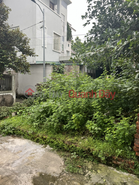 Cao Lo land for sale, 56m x 5m corner lot, 20m car lane, price slightly 2 billion Contact: 0936123469 Sales Listings