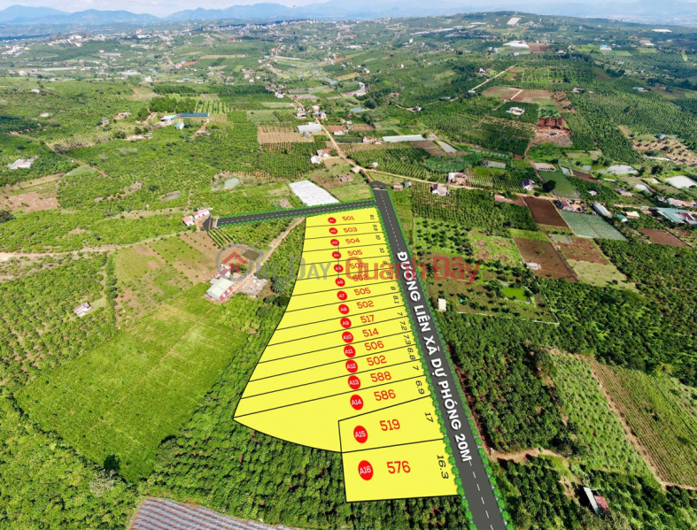 Chính chủ ra nhanh giá tốt 4 lô đất Tân Hà, Lâm Hà - Mỗi lô hơn 500m2 - Chỉ 1,099 tỷ 1 lô Niêm yết bán
