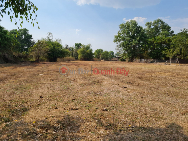 Land for sale at the front of Loc Binh 6 street, Loc Giang commune, Duc ...