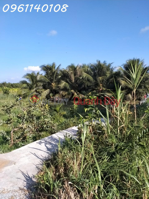 THE OWNER IS URGENTLY SELLING A BEAUTIFUL LOCATION OF LAND IN Cho Gao, Tien Giang _0