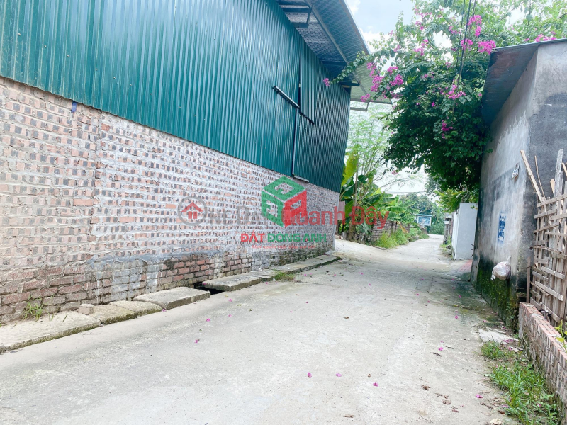 Property Search Vietnam | OneDay | Residential | Sales Listings | Land for sale in Ha Lam 2 Thuy Lam Dong Anh, slightly higher price 3 X tiny road for cars