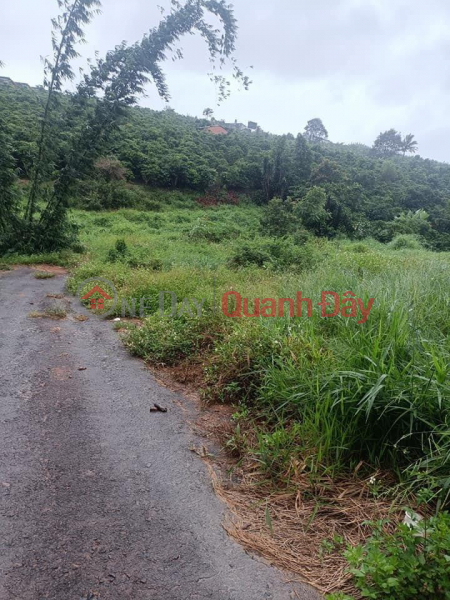 Property Search Vietnam | OneDay | Residential Sales Listings | BEAUTIFUL LAND - GOOD PRICE - Land Lot For Sale In Loc Ngai Commune, Bao Lam District, Lam Dong