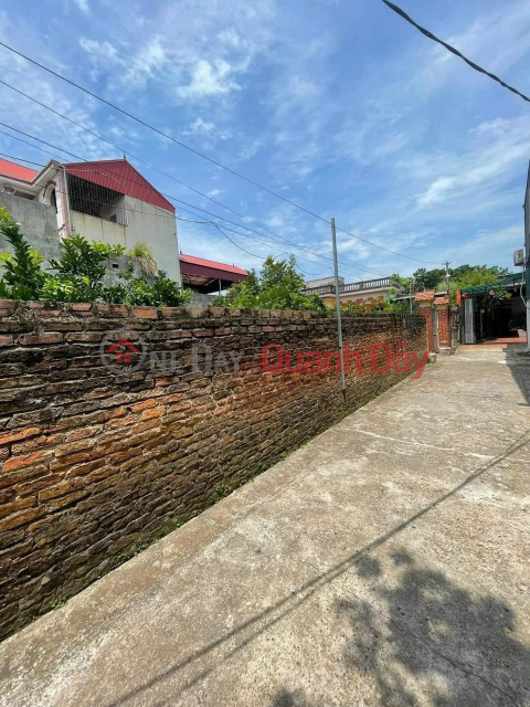 Selling 40m of land in Phu Lien village, Bac Hong commune, car road, price 1 billion VND _0