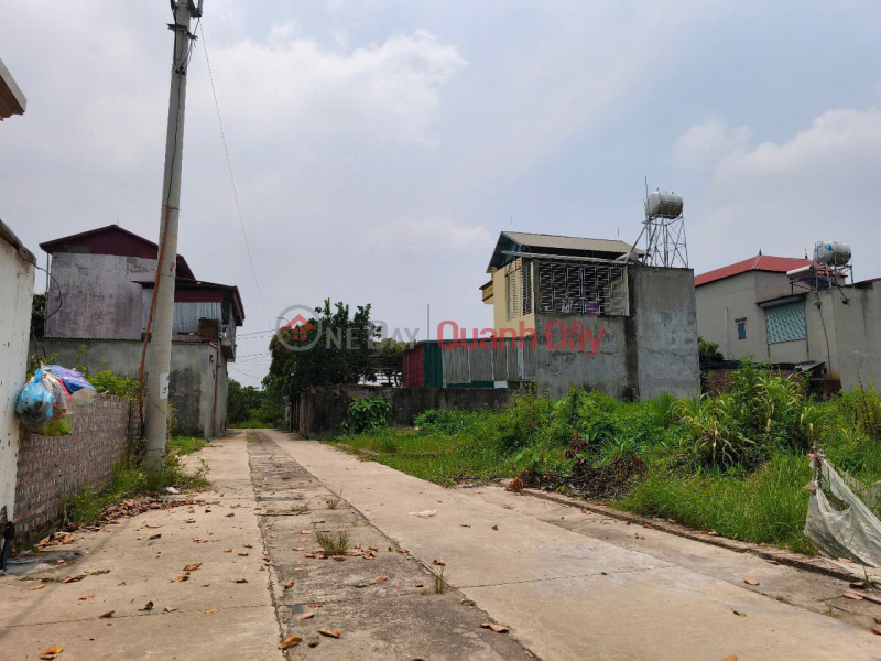 Property Search Vietnam | OneDay | Residential Sales Listings | Land for sale in Ap Tre village, Quang Minh commune, Me Linh. Road is clear, cars can park, near Quang Minh Industrial Park.