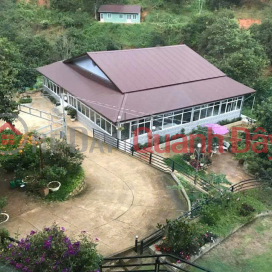 Cho thuê nhà 6 phòng homestay sức chứa 18 người giá 15 triệu tại đường Khe Sanh Đà Lạt Lâm Đồng _0