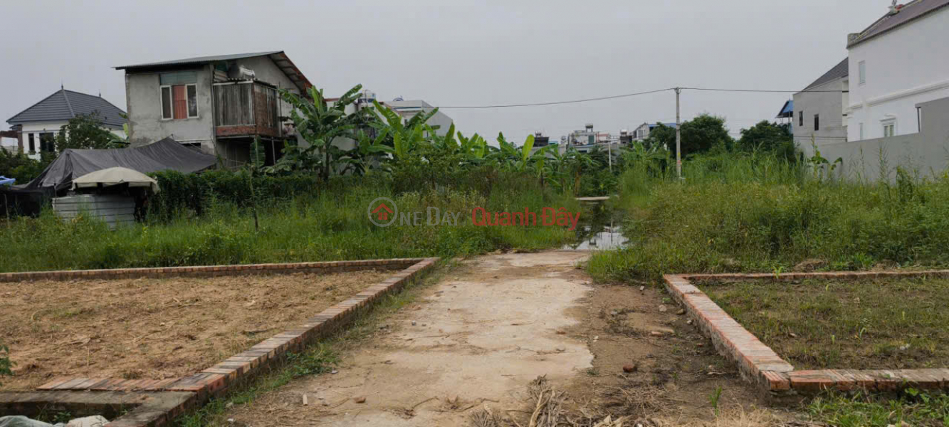 Property Search Vietnam | OneDay | Residential, Sales Listings Land lot for sale, 3 open sides, group 10 (Old),Quang Minh, Me Linh. 3m road, cars can pass. Near Industrial Park