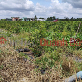 Beautiful Land - Good Price - Owner Needs to Sell a Lot of Land in a Good Location in Thanh Duc Commune, Ben Luc, Long An _0