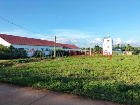Selling a Pair of 260m2 Corner with 2 Fronts Right at Krong Nang New Administrative Center - Dak Lak _0