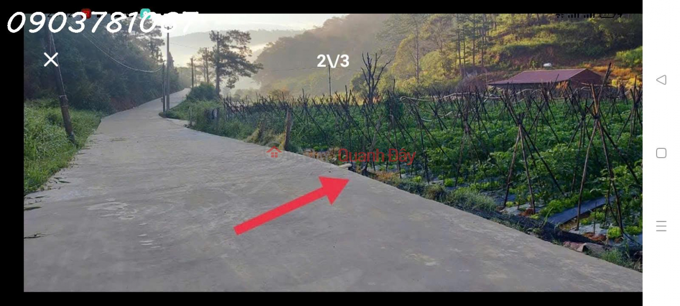 Land at the gateway to Da Lat, suitable for resort or investment Sales Listings