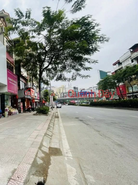 nhà mặt phố Nguyễn Văn Cừ, mặt tiền 13m, nở hậu, dòng tiền ổn định, full thổ cư, Việt Nam, Bán, đ 280 tỷ