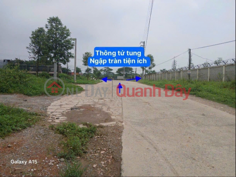 Consignment for sale of 238m2, car, investment in divided lots, Thuy Xuan Tien _0