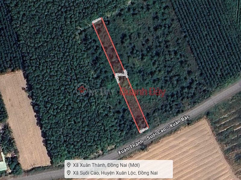 D1823 ️ Giảm 300tr! đất Mặt tiền Xuân Thành Đồng Nai, SHR, 10x116m, 1.x tỷ Niêm yết bán