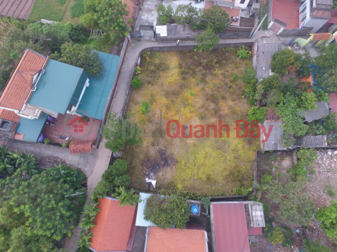 Owner selling 768m2 land in Hamlet 1, Dong Xa, Luong Bang Commune, Kim Dong District, Hung Yen Province. _0